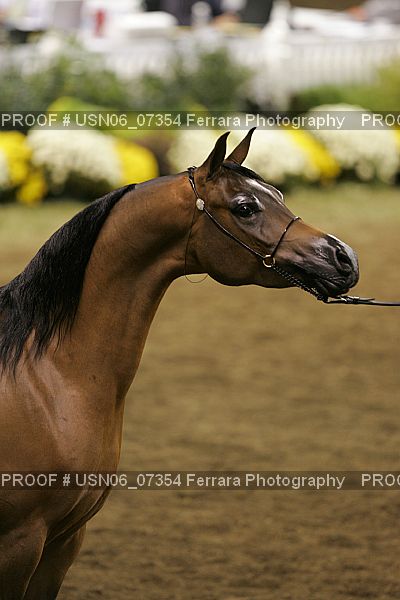 Proof USN06_07354