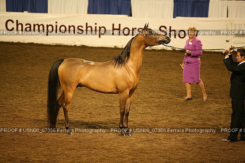 Proof USN06_07356