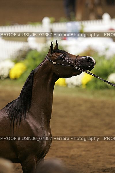 Proof USN06_07357