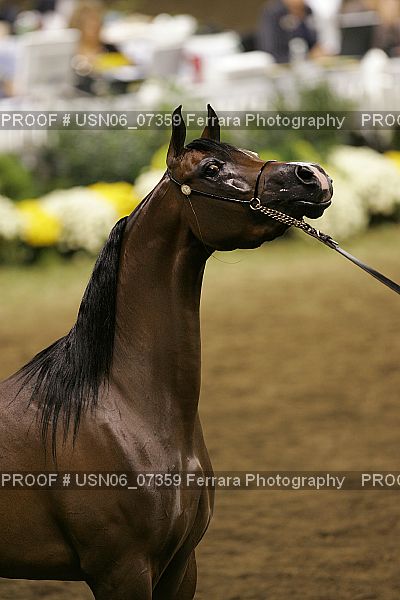 Proof USN06_07359