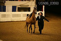 USN06_03550 proof