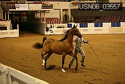 USN06_03557 proof