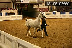 USN06_03560 proof