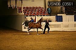 USN06_03561 proof