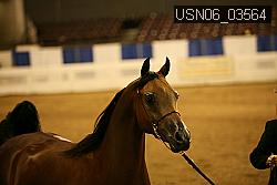 USN06_03564 proof