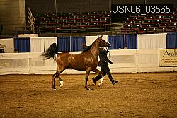 USN06_03565 proof