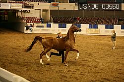 USN06_03568 proof