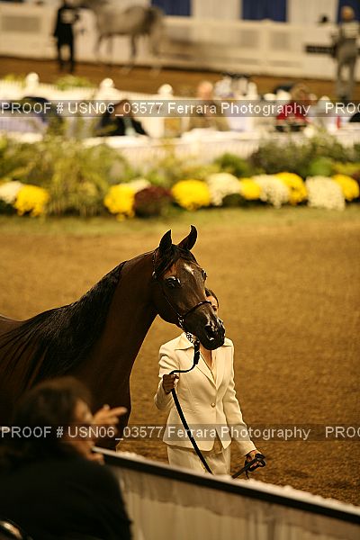 Proof USN06_03577