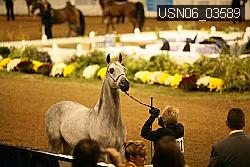 USN06_03589 proof