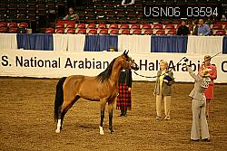 USN06_03594 proof