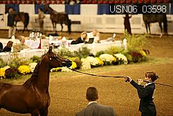 USN06_03598 proof