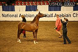 USN06_03602 proof