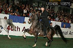 USN06_10875 proof