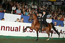 USN06_10887 proof