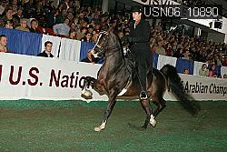 USN06_10890 proof