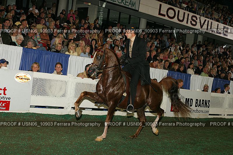 Proof USN06_10903