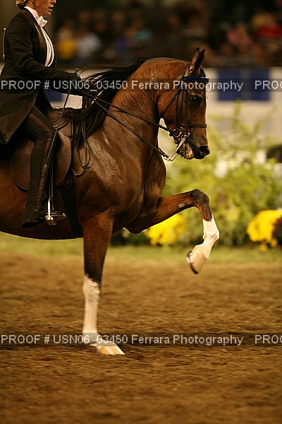 Proof USN06_03450