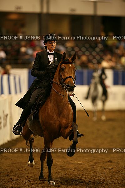Proof USN06_03497