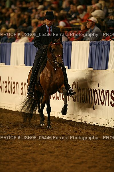 Proof USN06_05446