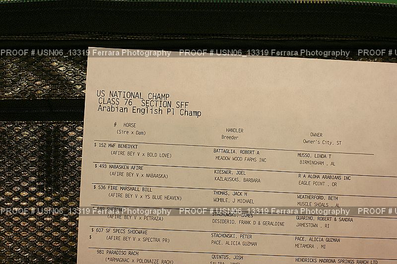 Proof USN06_13319