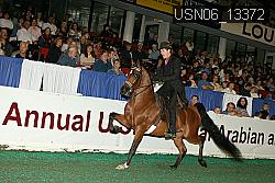 USN06_13372 proof