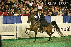 USN06_13382 proof