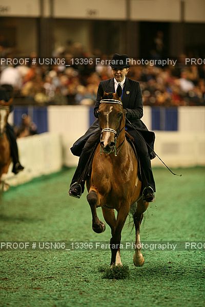 Proof USN06_13396