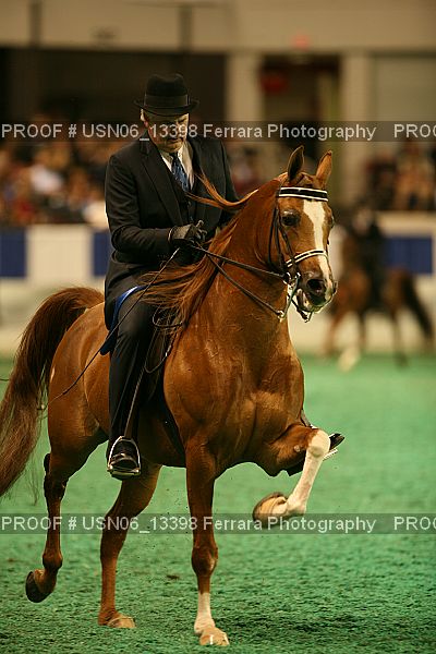Proof USN06_13398