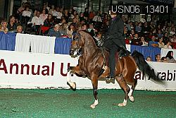USN06_13401 proof