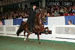 USN06_13481 proof