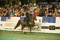 USN06_13482 proof