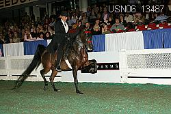 USN06_13487 proof
