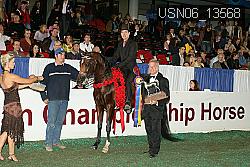 USN06_13568 proof