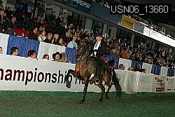 USN06_13660 proof