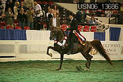 USN06_13686 proof