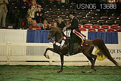 USN06_13688 proof