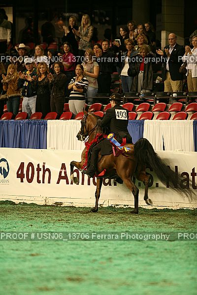 Proof USN06_13706