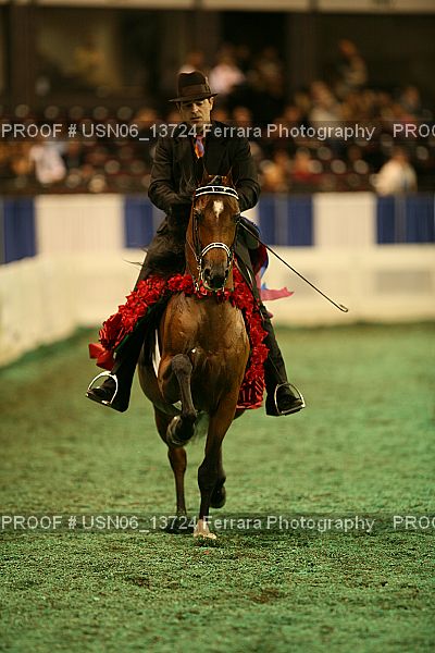 Proof USN06_13724