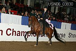 USN06_03830 proof