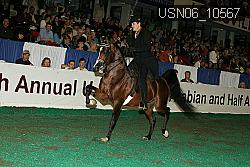 USN06_10567 proof