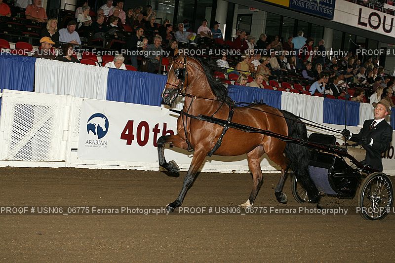 Proof USN06_06775