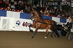 USN06_06775 proof