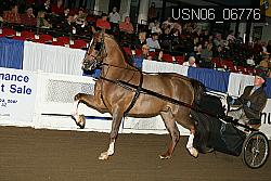 USN06_06776 proof