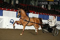 USN06_09218 proof