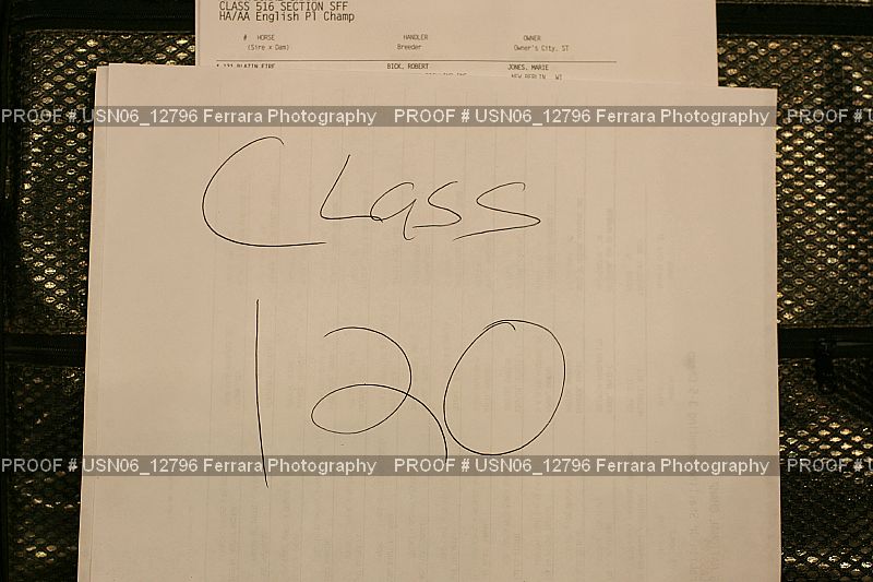 Proof USN06_12796
