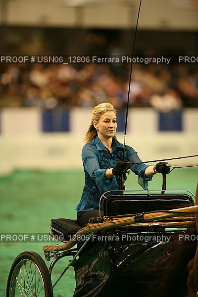 Proof USN06_12806