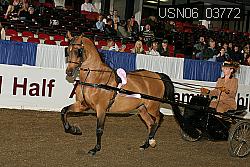 USN06_03772 proof
