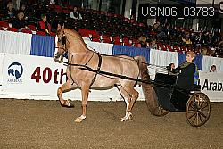 USN06_03783 proof