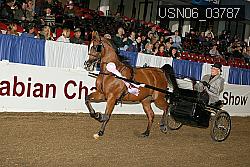USN06_03787 proof