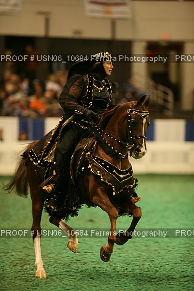 Proof USN06_10684